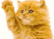 Waving Kitty