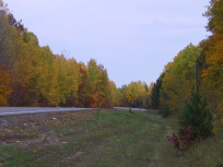 Fall Colors by TWO-Z